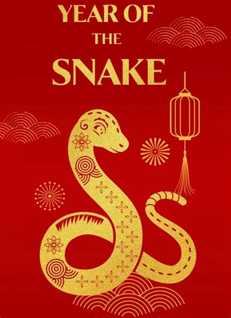 Year Of The Snake: Zodiac Compatibility, Meaning And Persona