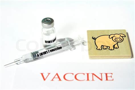 "Swine FLU H1N1 disease - syringe and ... | Stock image | Colourbox