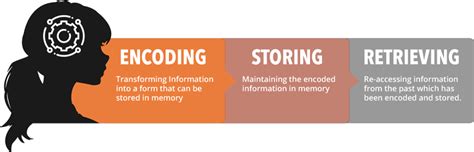 The Role of Memory in Learning • obsidianlearning.com