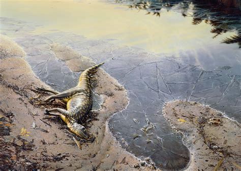 dead leaellynasaura, by Peter Trusler | Dinosaur, Prehistoric animals ...