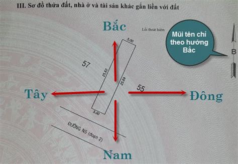 Cách xác định hướng Đông Tây Nam Bắc nhanh chóng, chính xác