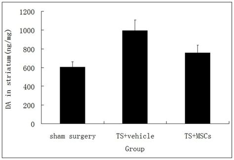 The amounts of dopamine (DA) in striatum homogenate (Figure 4) were ...