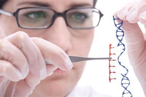 Genetic Engineering: GENETIC ENGINEERING