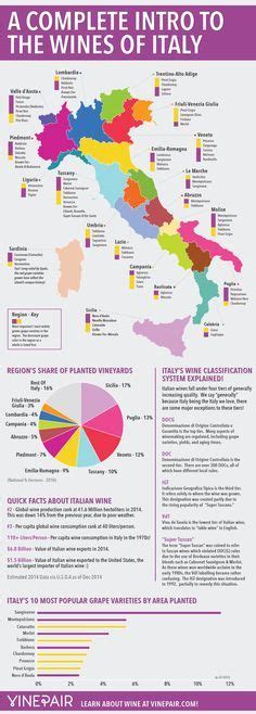 A Complete Introduction To The Wines Of Italy: MAP & INFOGRAPHIC | Italian wine, Wine map, Wine ...