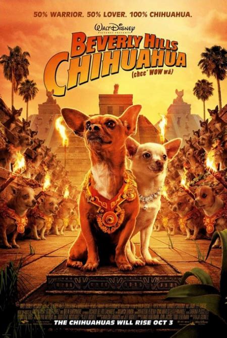 Dustin Off The Reels: Beverly Hills Chihuahua Movie Review