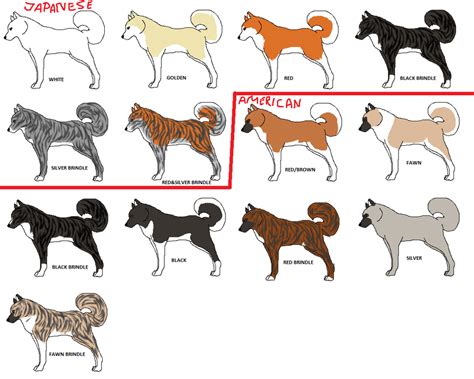 akita colors fawn - Google Search | Akita dog, American akita dog ...