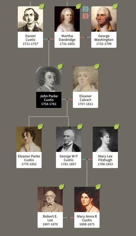 Strange Facts about Presidential Family Trees | George washington family tree, George washington ...