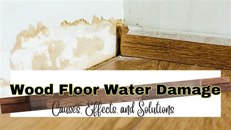 Wood Floor Water Damage: Causes, Effects, And Solutions