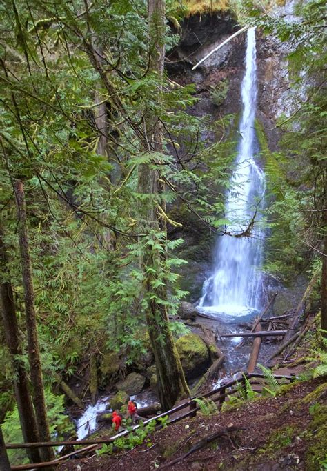 Lake Crescent hikes can help you recover from winter | The Seattle Times