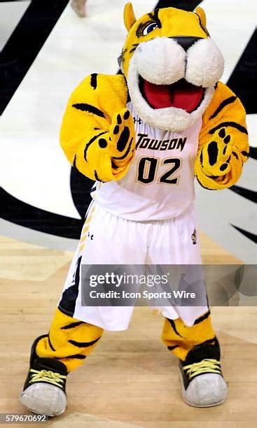 Towson Mascot Photos and Premium High Res Pictures - Getty Images