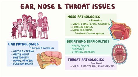 Tonsillar Exudate: What Is It, Causes | Osmosis