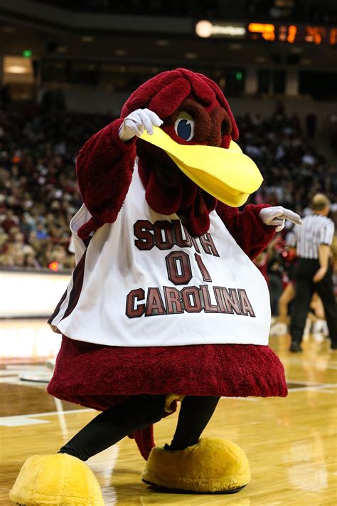 National Mascot Day: Ranking the SEC mascots from worst to best