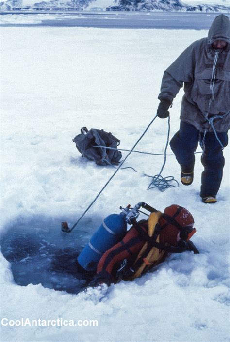 Thumbnails - Antarctic Ice Dive - Free use pictures of Antarctica