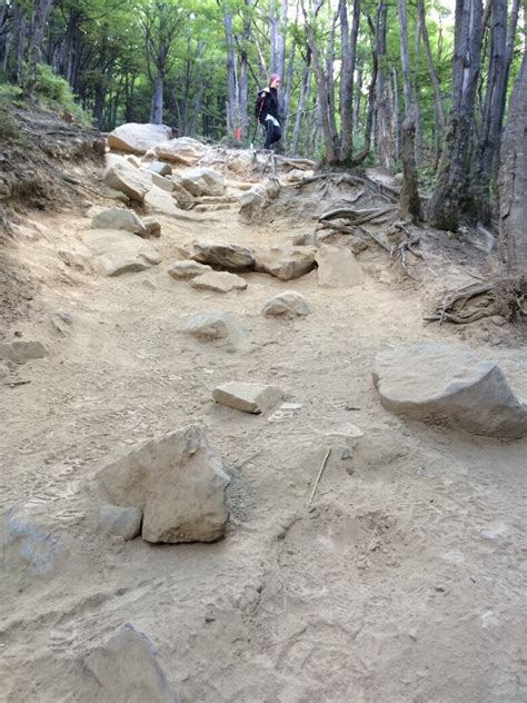 Shuswap trail experts helping to save Torres del Paine in Chile | CBC News