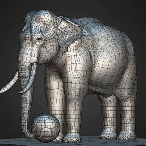 Asian Female Elephants 3D Model 3D Render | RenderHub Gallery