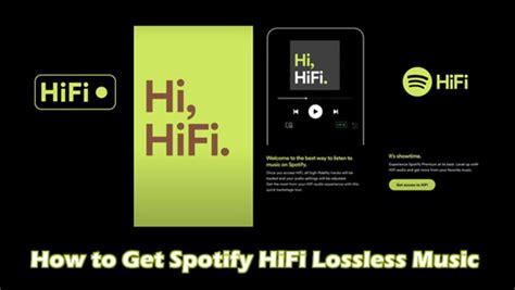 What Is Spotify HiFi? All You'll Know Here