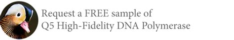 Q5® High-Fidelity DNA Polymerases | NEB