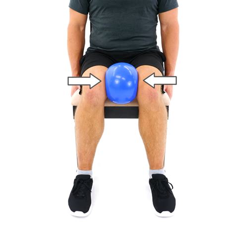 BALL SQUEEZE HIP ADDUCTION – SEATED - Denver Physical Therapy at Home