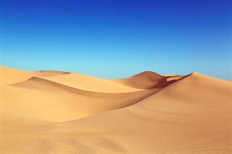 gurun coklat, gurun, bukit pasir, bukit pasir algodones, pasir, alam, lebar, sinar matahari ...