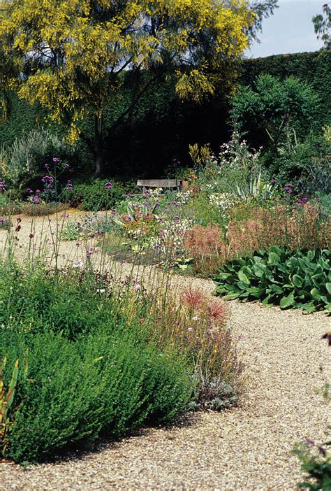 Gravel Garden Photograph by Duncan Smith/science Photo Library | Fine Art America