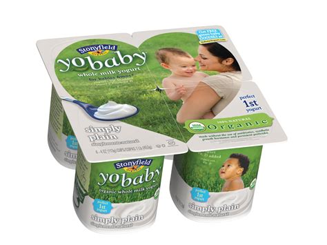 Best 10 Yogurt Brands