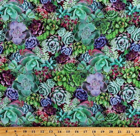 Cotton Succulents Desert Plants Floral Landscape Nature One of a Kind ...