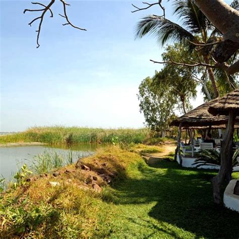 Gambia Holidays | The Gambia Experience