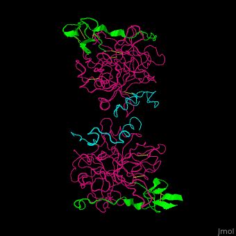 Hirudin - Proteopedia, life in 3D