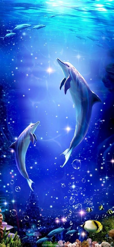 Dolphin Wallpaper 🐬 | Dolphin images, Beautiful wallpapers backgrounds ...