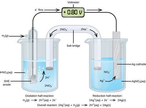 17.3 Standard Reduction Potentials – Chemistry 112- Chapters 12-17 of OpenStax General Chemistry