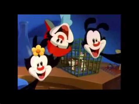 Download animaniacs pinky and the brain - orthomeva