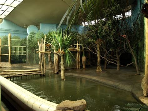 Rotterdam Zoo - Hippo indoor exhibit - ZooChat