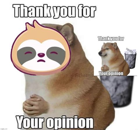 Sloth thank you for your opinion Memes - Imgflip