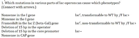 Solved Which mutations in various parts of lac-operon can | Chegg.com