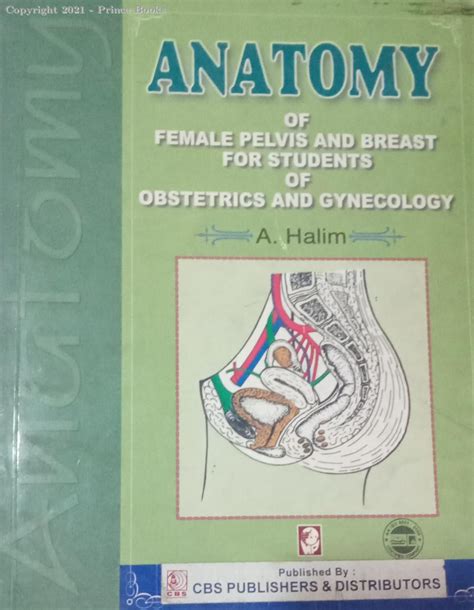 85673526 - anatomy of female pelevis and breast for students of obstetrics and gynecology