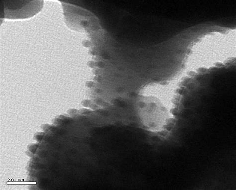 TEM images of the samples with (a) x=0, (b) x=0.1, (c) x=0.15, (d) and... | Download Scientific ...