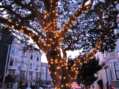 15 Inspirations Hanging Lights on Large Outdoor Tree