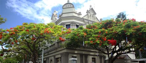 An Oasis in Brisbane Called South Bank Parklands - Macaw Wings