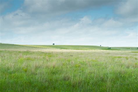 Great Plains Landscape Minimalist Landscape Grasslands Open | Etsy