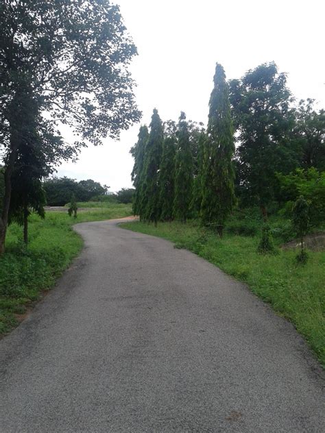 Nature is Beautiful $ #: Beautiful Hyderabad.... Its in the HCU campus..