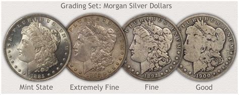 Morgan Silver Dollar Values | Discover Their Worth