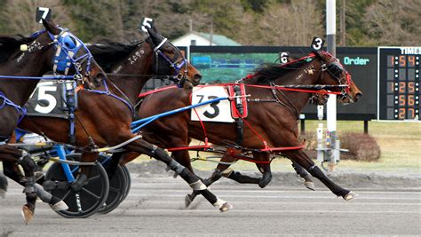 Sally Fletcher A & Bruce Aldrich - Saratoga NY