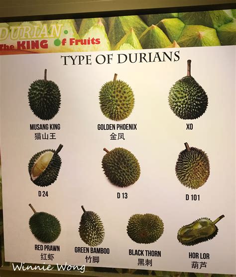 The King of Fruits - Durian Museum