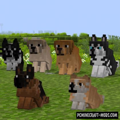 Better Dogs 16x Resource Pack For Minecraft 1.20.1, 1.19.4, 1.19.2 | PC Java Mods