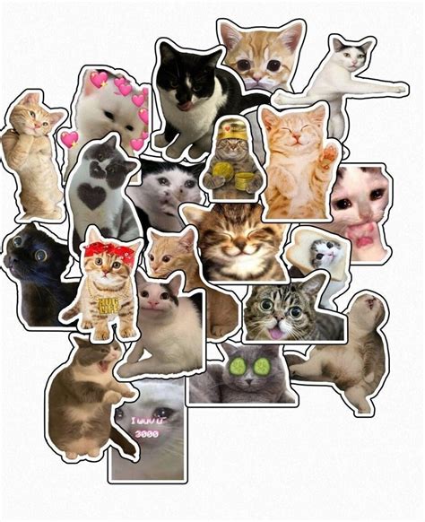 Cat Stickers Cute 5/25/50/100pcs for Laptop, Luggage, Water Bottle ...