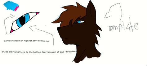 [Muro] eye ref sheet by WolfieDonnell on DeviantArt