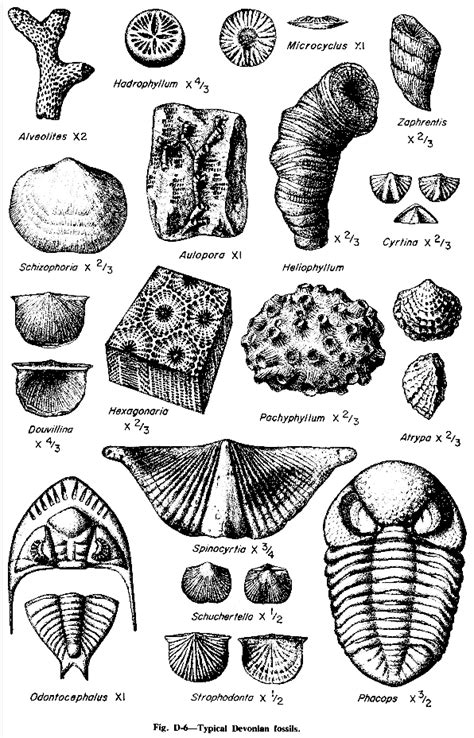 Geologic Column