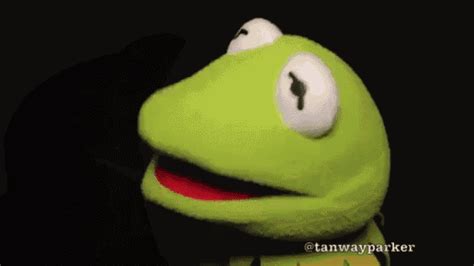 Kermit GIF - Kermit Puppet Laugh - Discover & Share GIFs