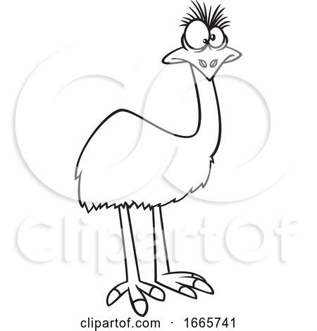 Cartoon Black and White Emu Bird by toonaday #1665741