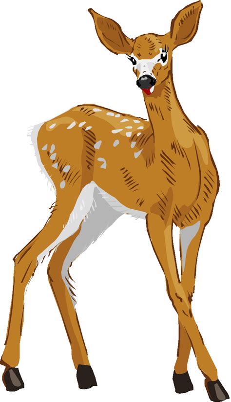 Deer clipart free clip art images image 3 - Clipartix